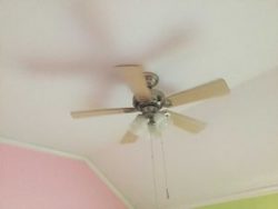 Ceiling Fan Installation